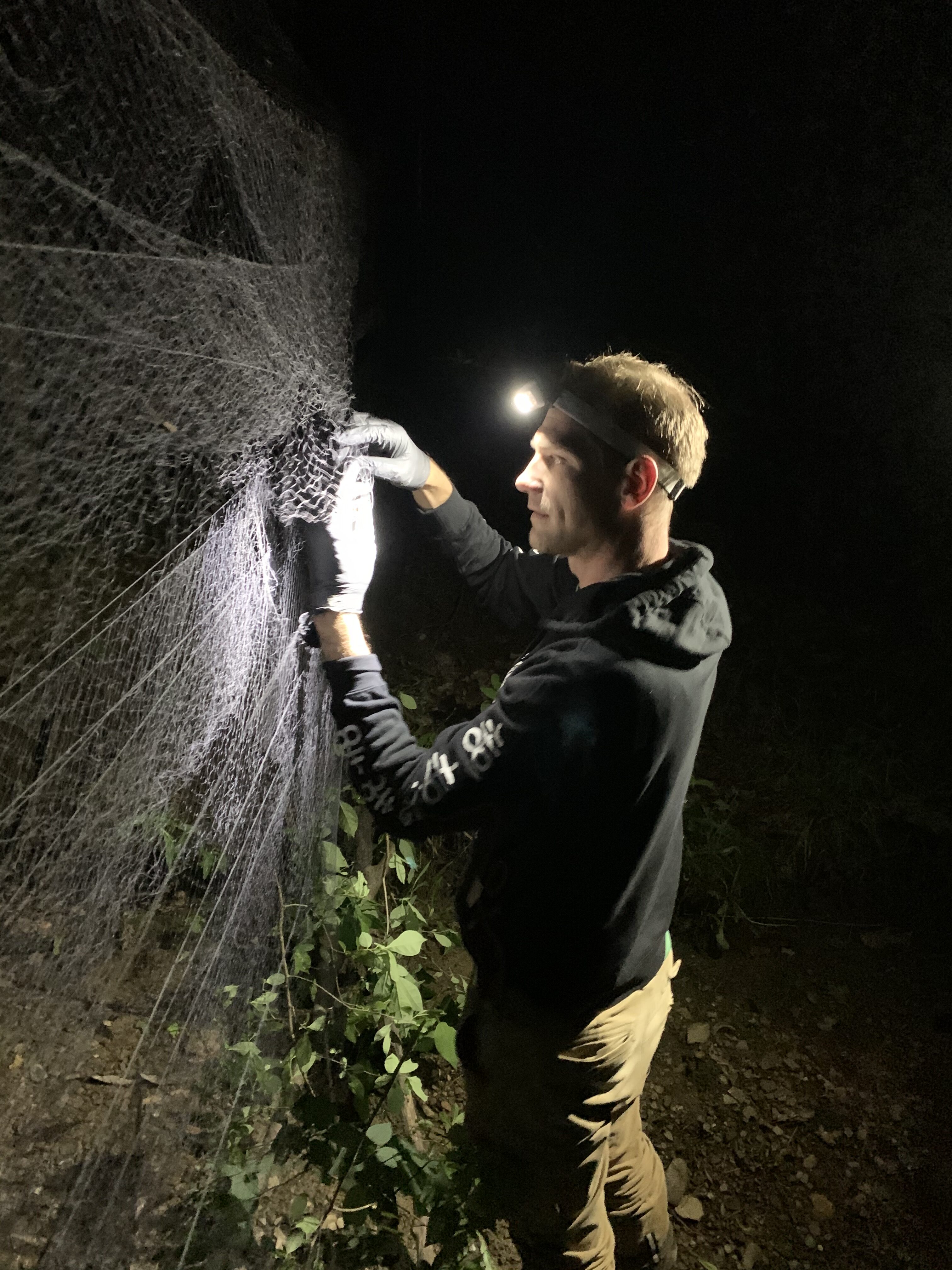 HZW is pleased to announce the acquisition of federally permitted bat ecologist Benjamin Schuplin